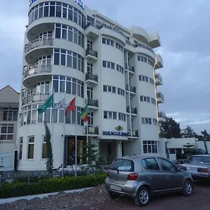 https://miracle-hotel-addis-ababa.tophotelsethiopia.com