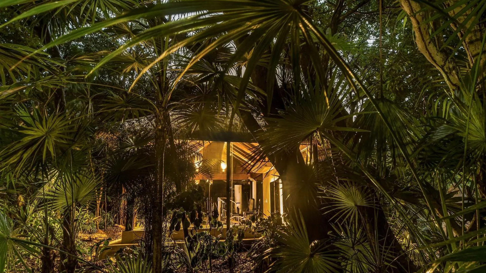Viceroy Riviera Maya, A Luxury Villa Resort - Adults Only מקסיקו