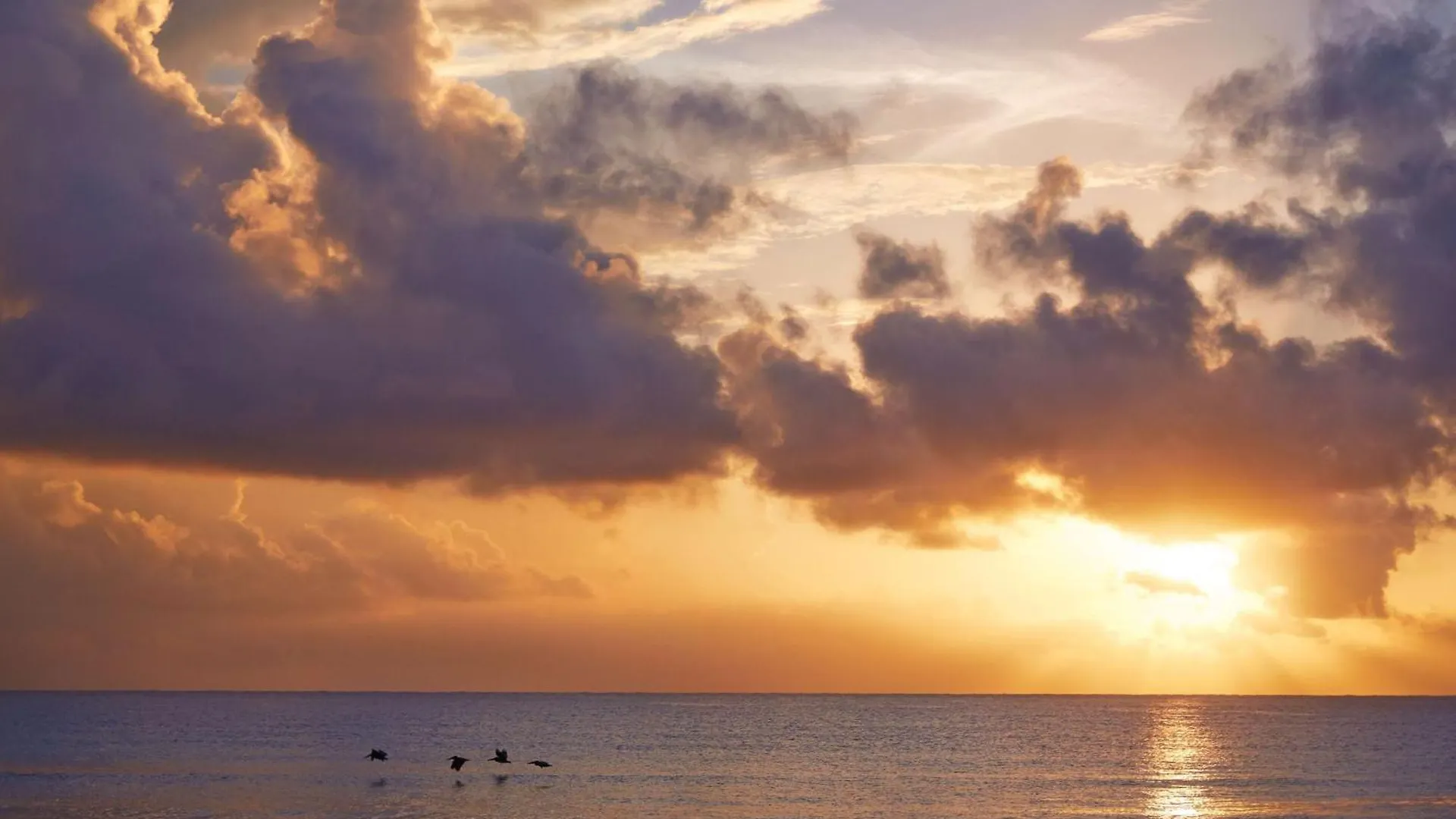 Viceroy Riviera Maya, A Luxury Villa Resort - Adults Only 5*,  מקסיקו